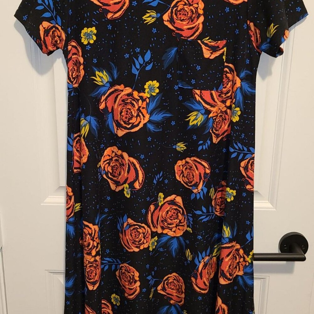 Lularoe Carly dress